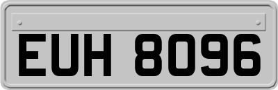 EUH8096