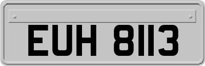 EUH8113