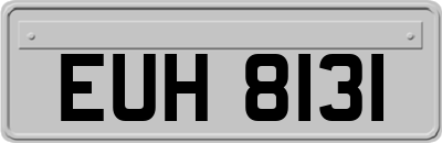 EUH8131