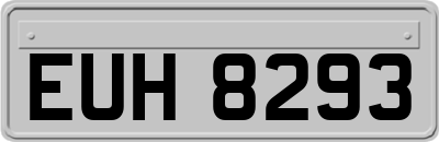 EUH8293