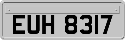 EUH8317