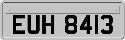 EUH8413