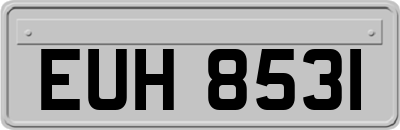 EUH8531