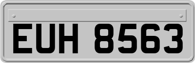 EUH8563