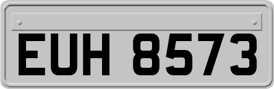 EUH8573