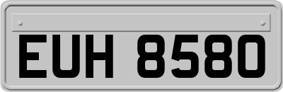 EUH8580