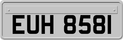 EUH8581