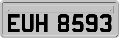 EUH8593