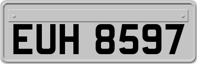 EUH8597