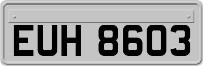 EUH8603