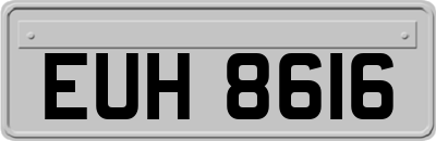 EUH8616