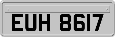 EUH8617