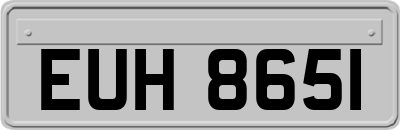EUH8651