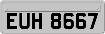 EUH8667