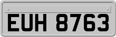 EUH8763