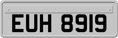 EUH8919