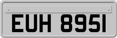 EUH8951