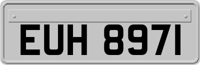 EUH8971