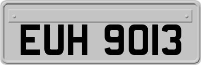 EUH9013