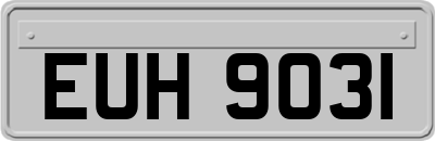 EUH9031
