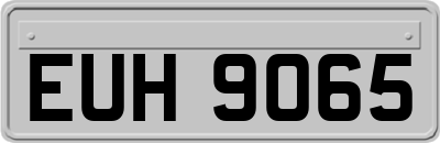 EUH9065