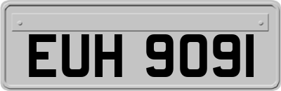 EUH9091