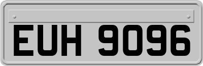 EUH9096