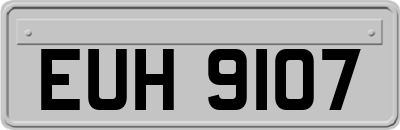 EUH9107