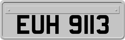 EUH9113