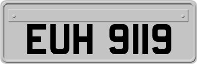EUH9119