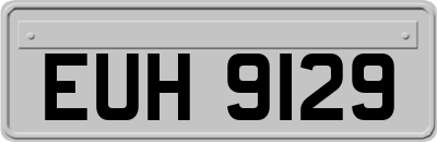 EUH9129