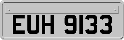 EUH9133