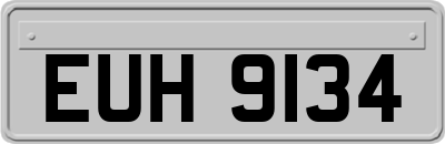 EUH9134