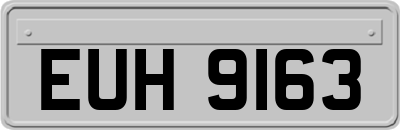 EUH9163