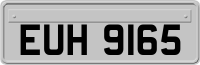 EUH9165