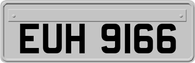 EUH9166