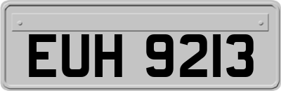EUH9213