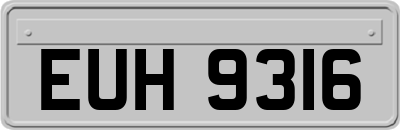 EUH9316