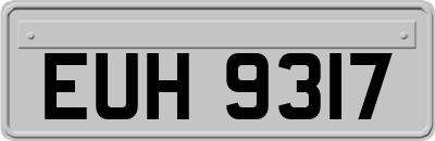 EUH9317