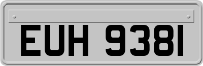 EUH9381