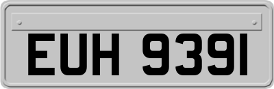 EUH9391