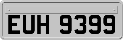 EUH9399