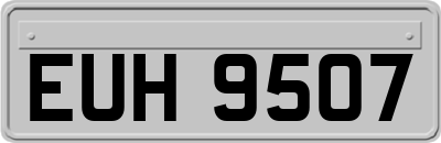EUH9507