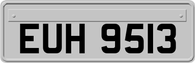 EUH9513