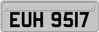 EUH9517