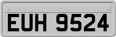 EUH9524