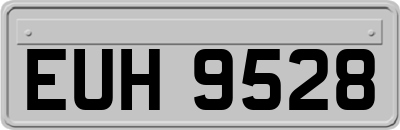 EUH9528