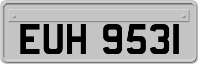 EUH9531