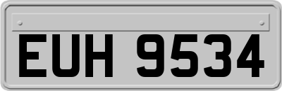 EUH9534