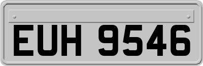 EUH9546
